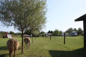 Kleine camping Moongarden